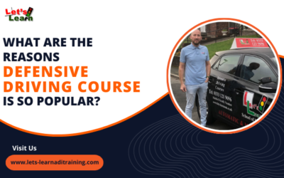 What are the Reasons Defensive Driving Course Is So Popular?